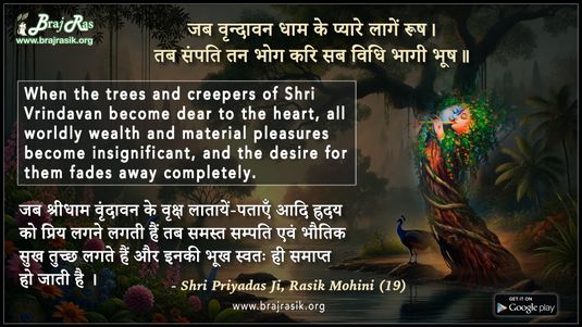Jab Vrindavan Dham Ke Pyare Lagein Roosh - Shri Priyadas Ji, Rasik Mohini (19)