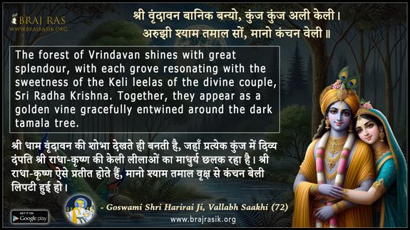 श्री वृंदावन बानिक बन्यो कुंज कुंज अली केली - गोस्वामी श्री हरिराय जी, वल्लभ साखी (72)