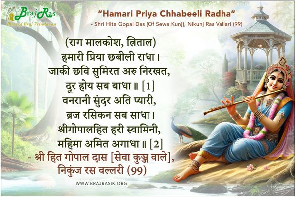 हमारी प्रिया छबीली राधा - श्री हित गोपाल दास [सेवा कुञ्ज वाले], निकुंज रस वल्लरी (99)