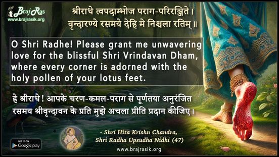 श्रीराधे त्वपदाम्भोज पराग - श्री हित कृष्ण चंद्र, श्री राधा उपसुधा निधि (47)