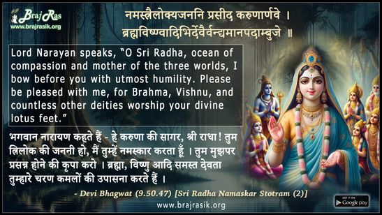 नमस्त्रैलोक्यजननि प्रसीद करुणार्णवे - देवी भागवत (9.50.47)
