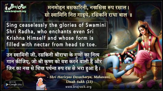 मनमोहन बसकारिनी नखसिख रूप रसाल - श्री हरिव्यास देवाचार्य, महावाणी, उत्साह सुख (23)