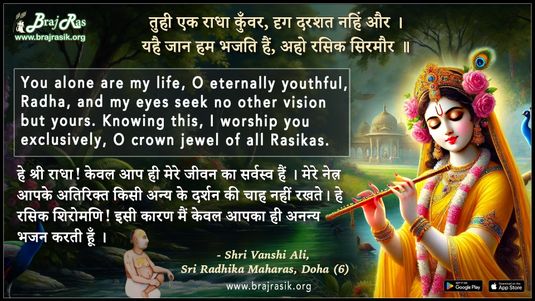 तुही एक राधा कुँवर दृग दरशत नहिं और - श्री वंशी अलि, श्री राधिका महारास, दोहा (6)