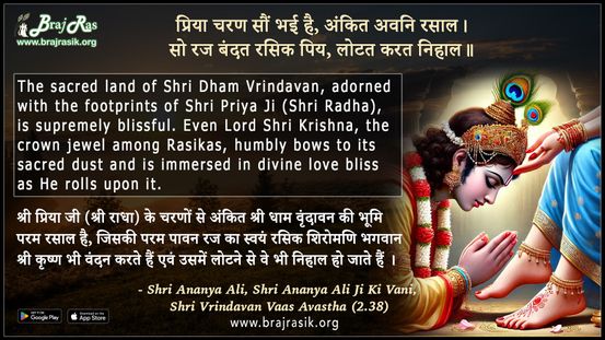 प्रिया चरण सौं भई है अंकित अवनि रसाल - श्री अनन्य अलि, श्री वृंदावन वास अवस्था (2.38)