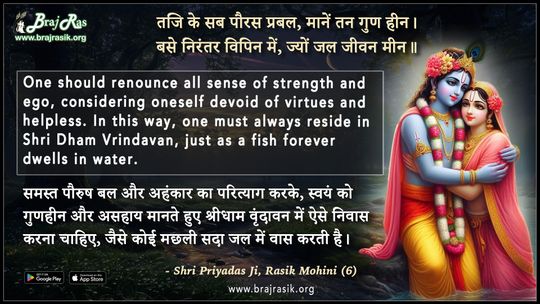 Taji Ke Sab Pauras Prabal Maane Tan Gun Heen -  Shri Priyadas Ji, Rasik Mohini (6)