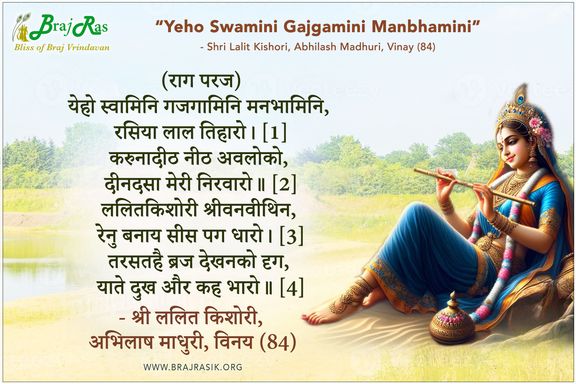 Yeho Swamini Gajgamini Manbhamini - Shri Lalit Kishori, Abhilash Madhuri, Vinay (84)