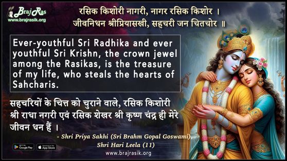 Rasik Kishori Nagari Nagar Rasik Kishor - Shri Priya Sakhi (Sri Brahm Gopal Goswami), Shri Hari Leela (11)