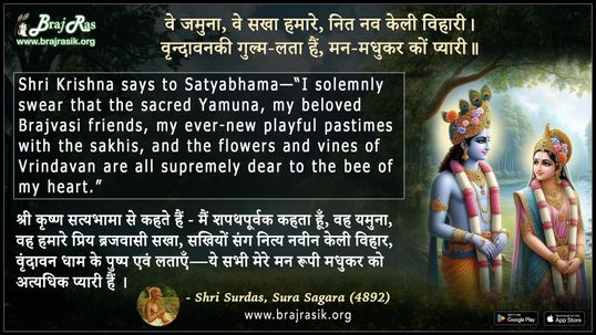 वे जमुना, वे सखा हमारे नित नव केली विहारी - श्री सूरदास, सूर सागर (4892)
