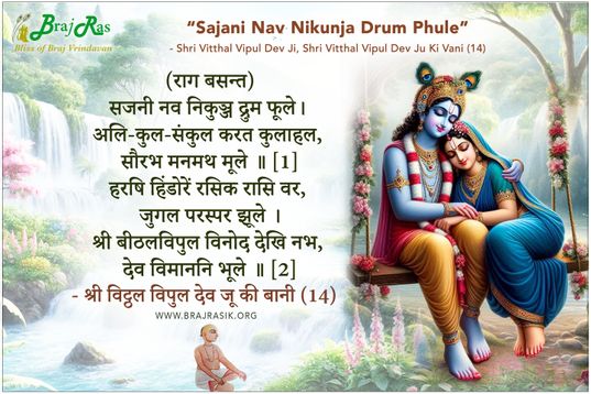 सजनी नव निकुञ्ज द्रुम फूले - श्री विट्ठल विपुल देव जू की बानी (14)
