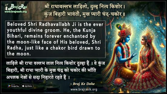 Shri Radhavallabh Ladilo Dulha Nity Kishor - Braj Ke Dohe