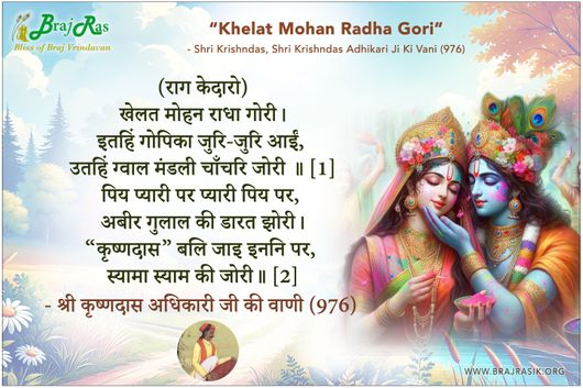 खेलत मोहन राधा गोरी - श्री कृष्णदास अधिकारी जी की वाणी (976)