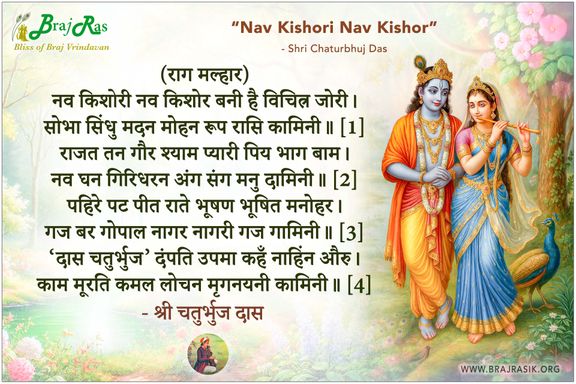 नव किशोरी नव किशोर बनी है विचित्र जोरी - श्री चतुर्भुज दास