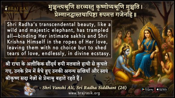 Munchantyashruni Sarvyastu - Shri Vanshi Ali, Sri Radha Siddhant (26)