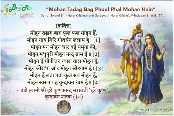 Mohan Tadag Bag Phool Phal Mohan Hain - Shri Hare Krishnanand Sarasvati, Vrindavan Shatak (14)