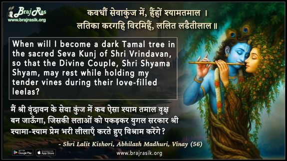 कवधौं सेवाकुंज में ह्वैंहों श्यामतमाल - श्री ललित किशोरी, अभिलाष माधुरी, विनय श्रृंगार शतक (56)