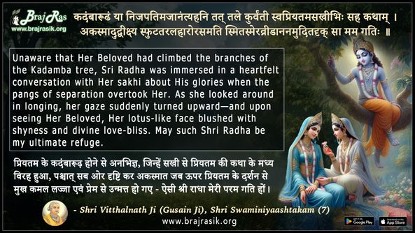 Kadambarudham Ya Nijapatimajanam- Shri Vitthalnath Ji, Shri Swaminiyashtakam (7)