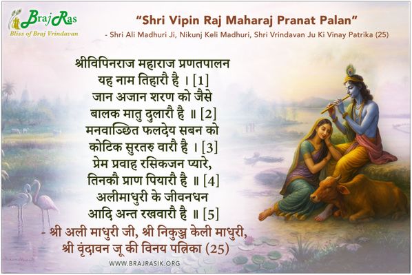 श्रीविपिनराज महाराज प्रणतपालन - श्री अली माधुरी जी, श्री निकुञ्ज केली माधुरी, श्री वृंदावन जू की विनय पत्रिका (25)