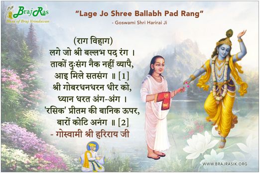 Lage Jo Shree Ballabh Pad Rang - Goswami Shri Harirai Ji