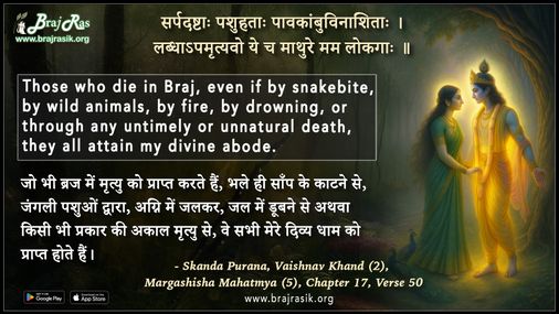 Sarpadashtah Pashuhatah  - Skanda Purana, Vaishnav Khand (2), Margashisha Mahatmya (5), Chapter 17, Verse 50