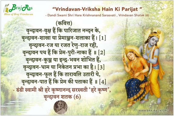Vrindavan Vriksha Hain Ki Parijat - Shri Hare Krishnanand Sarasvati, Vrindavan Shatak (6)