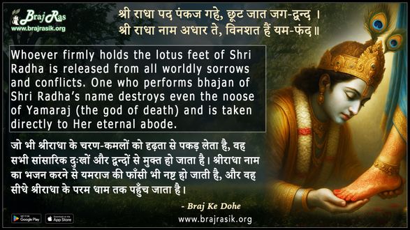 श्री राधा पद पंकज गहे छूट जात जग द्वन्द  - ब्रज के दोहे