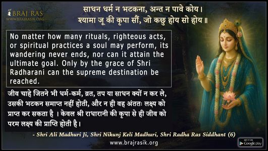 साधन धर्म न भटकना - श्री अली माधुरी जी, श्री निकुंज केलि माधुरी, श्री राधा रस सिद्धांत (6)