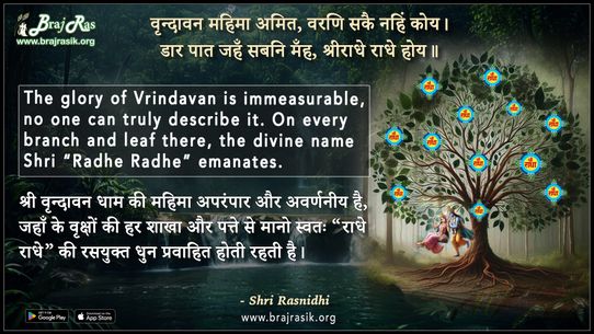 Vrindavan Mahima Amit Varani Sakai Nahin Koy - Braj Ke Dohe