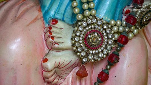 Darshan of the Lotus Feet of Shri Radha in Kirti Tapah Sthali inside Khelan Van, Padar Van, Barsana.