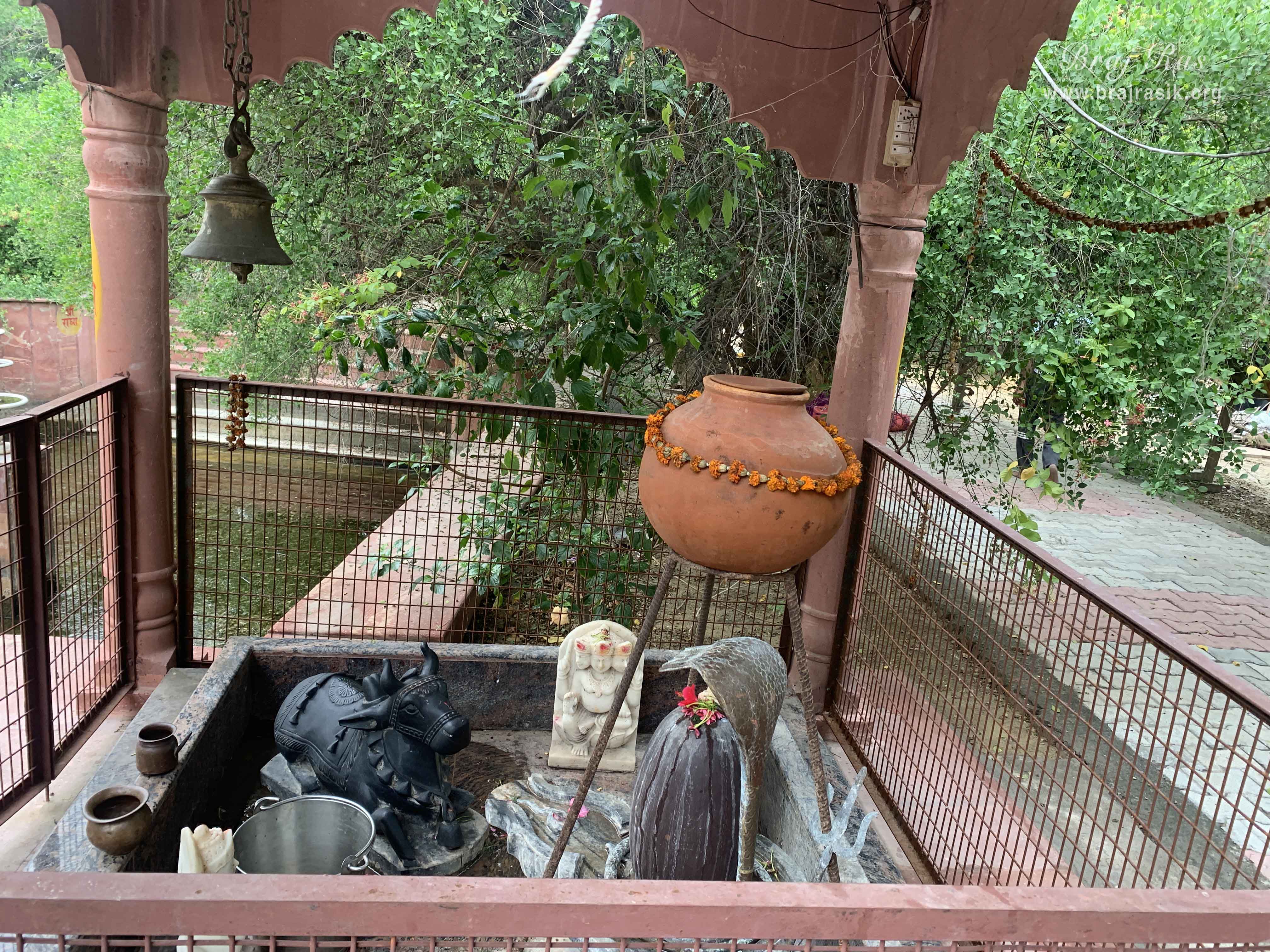 Shiva Linga darshan in Kirti Tapah Sthali inside Khelan Van, Padar Van, Barsana.