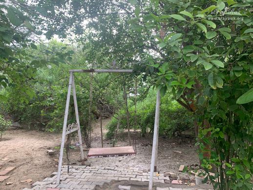 Darshan of the swing where Shri Radha Krishna used to play in Kirti Tapah Sthali inside Khelan Van, Padar Van, Barsana.