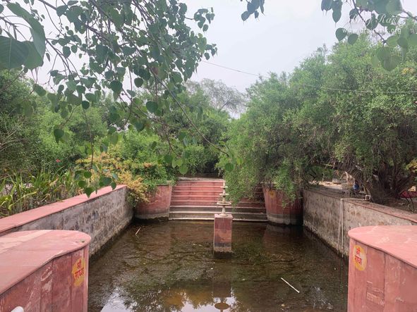 Darshan of Kamal Kund in Kirti Tapah Sthali inside Khelan Van, Padar Van, Barsana.
