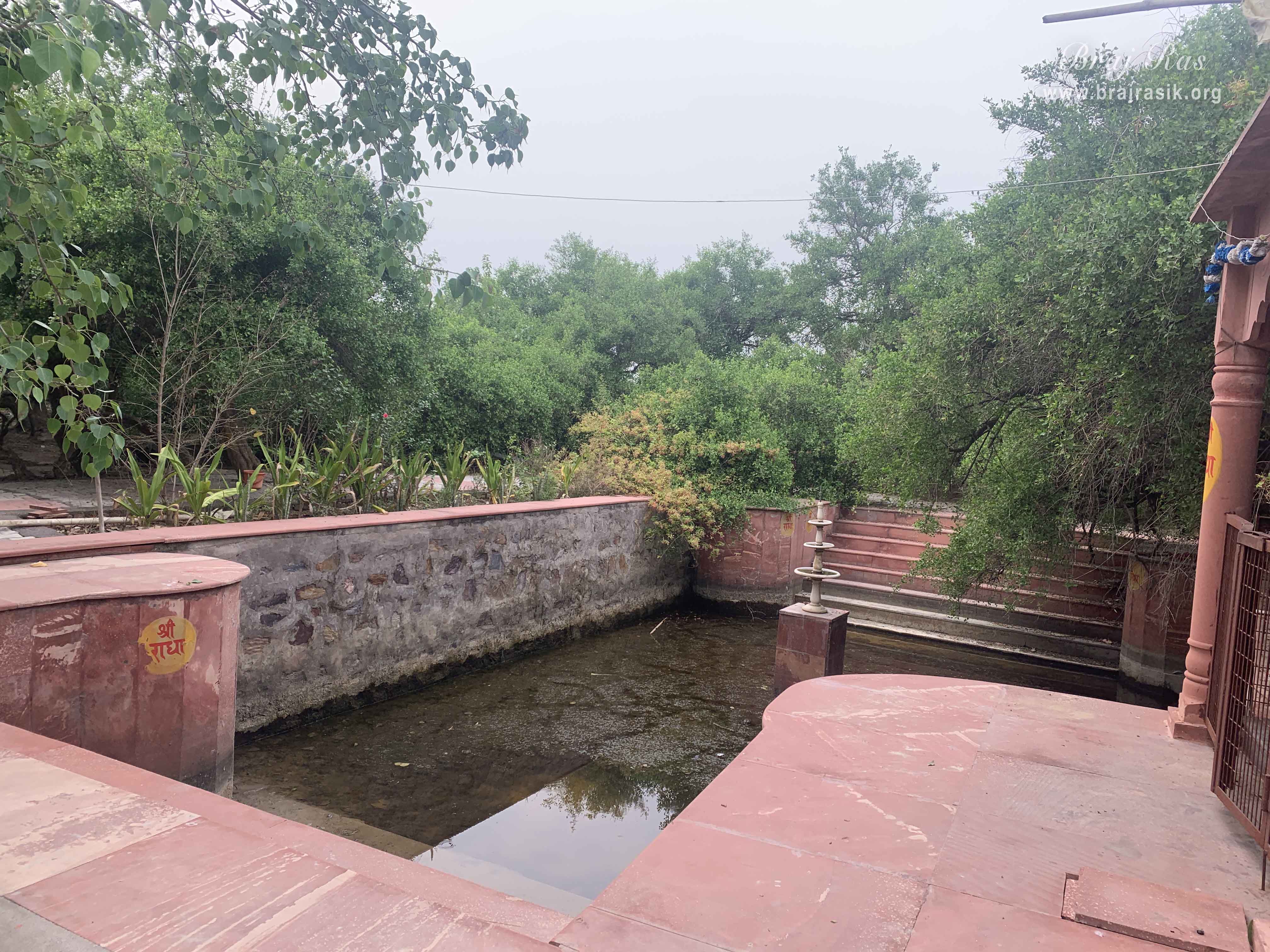 A nice view of Kamal Kund in Kirti Tapah Sthali inside Khelan Van, Padar Van, Barsana.