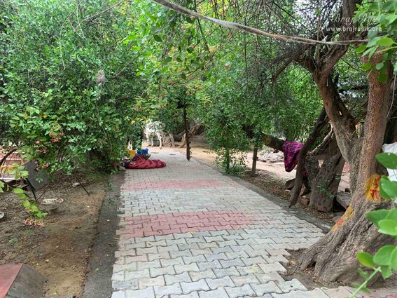 A nice view of a path in Kirti Tapah Sthali inside Khelan Van, Padar Van, Barsana.