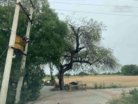 View of the field beside Kirti Tapah Sthali inside Khelan Van, Padar Van, Barsana.