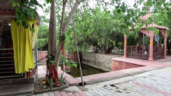 View of Kirti Tapah Sthali inside Khelan Van, Padar Van, Barsana.