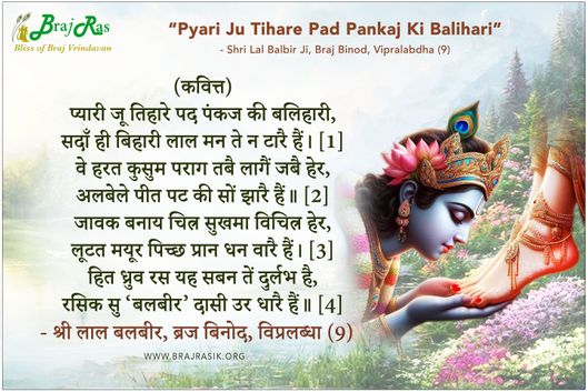 प्यारी जू तिहारे पद पंकज की बलिहारी - श्री लाल बलबीर, ब्रज बिनोद, विप्रलब्धा (9)