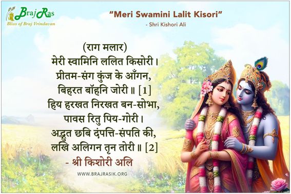 मेरी स्वामिनि ललित किसोरी - श्री किशोरी अलि