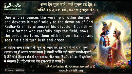 Anya Dev Puja Tajai - Shri Priyadas Ji, Ananya Modini (14)