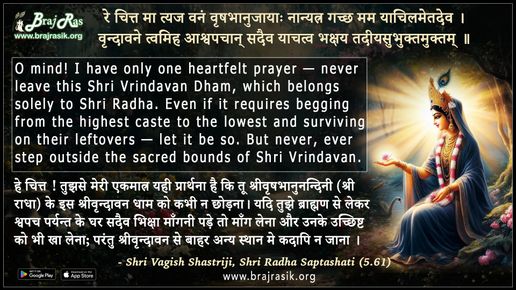 रे चित्त मा त्यज वनं वृषभानुजाया - श्री वागीश शास्त्री जी, श्री राधासप्तशती (5.61)