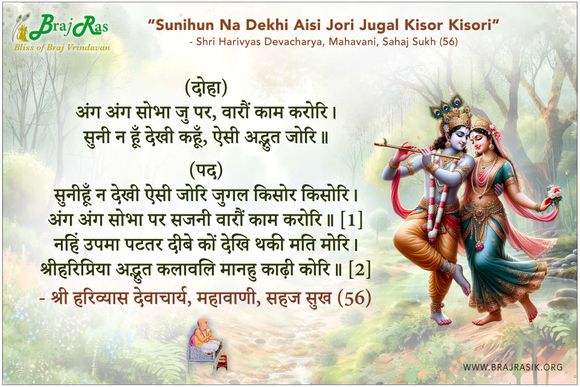 सुनीहूँ न देखी ऐसी जोरि जुगल किसोर किसोरि - श्री हरिव्यास देवाचार्य, महावाणी, सहज सुख (56)