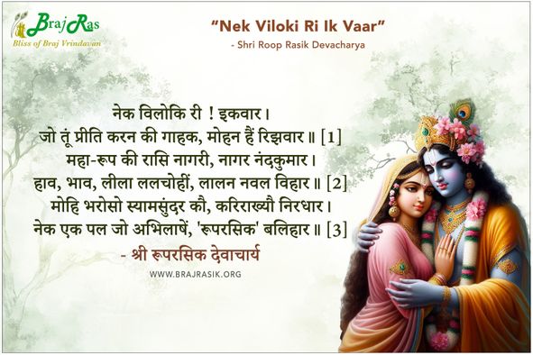 नेक विलोकि री इकवार - श्री रूपरसिक देवाचार्य