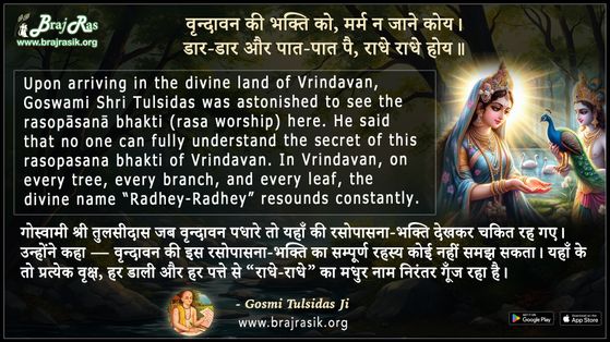 Vrindavan Ki Bhakti Ko Marm Na Jane Koy - Shri Tulsidas Ji Maharaj
