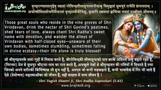 Vrindaranya Lata Grriheshu Vasatam - Shri Vagish Shastriji, Shri Radha Saptashati (5.65)