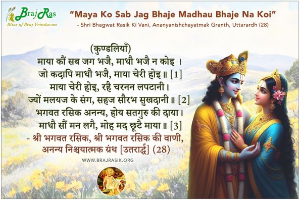 Maya Ko Sab Jag Bhaje - Shri Bhagwat Rasik Ki Vani, Ananyanishchayatmak Granth, Uttarardh (28)