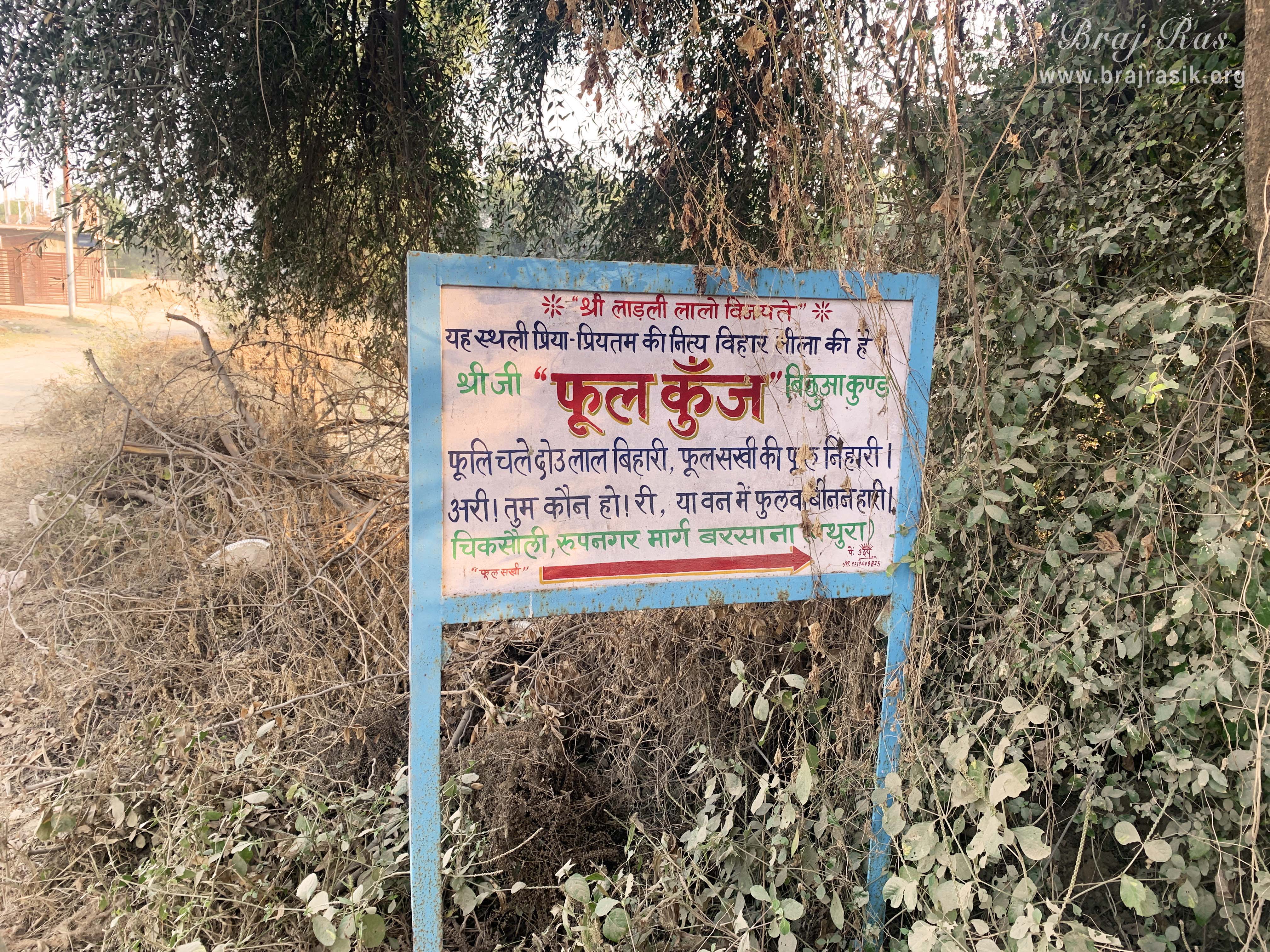 Phool Kunj (Flower Bower) is a peaceful place in Barsana. It is located at the foothill of Brahmanchal Parvat, in the lane opposite the Chitra Sakhi Temple.