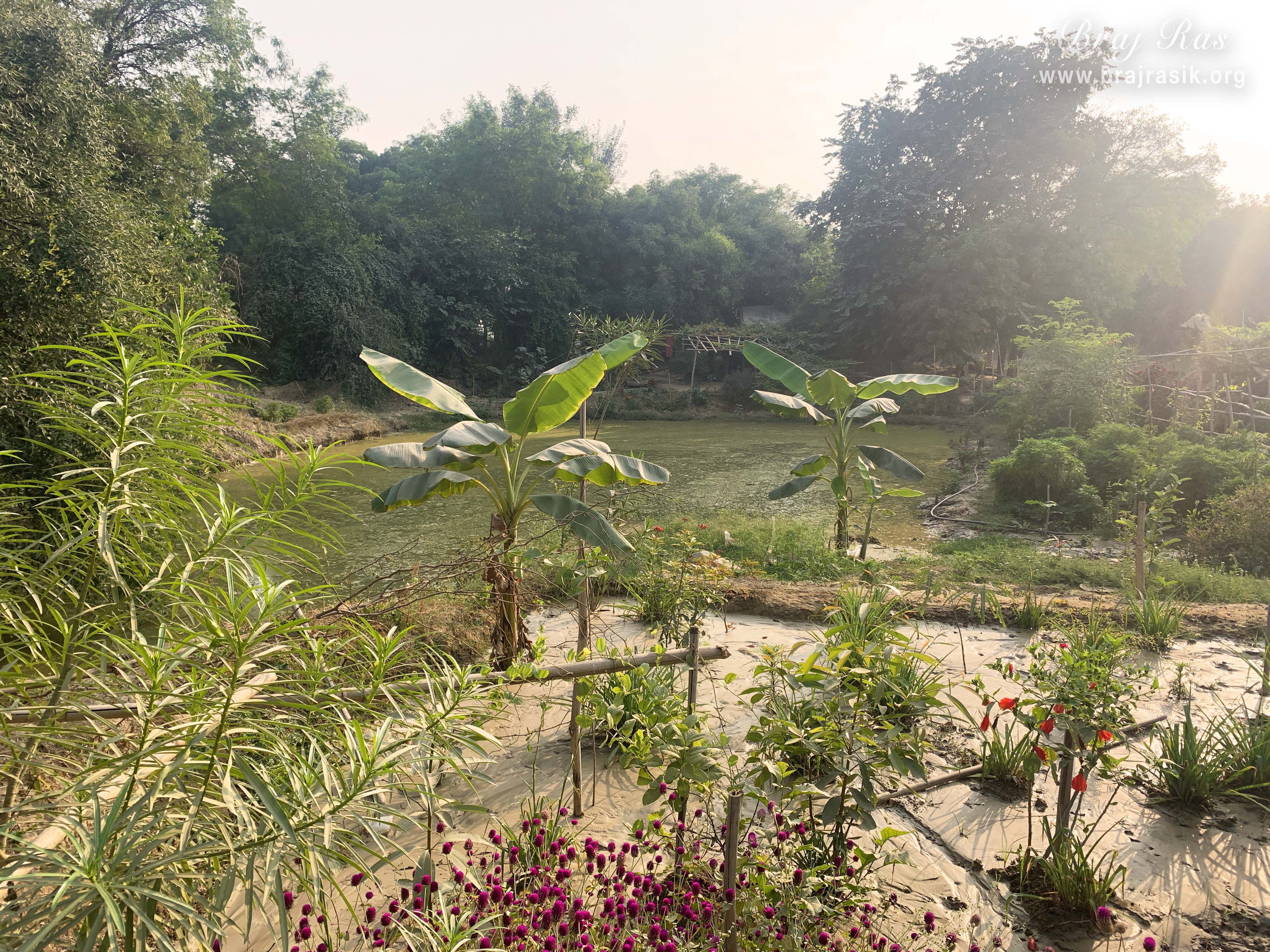 Phool Kunj (Flower Bower) garden.