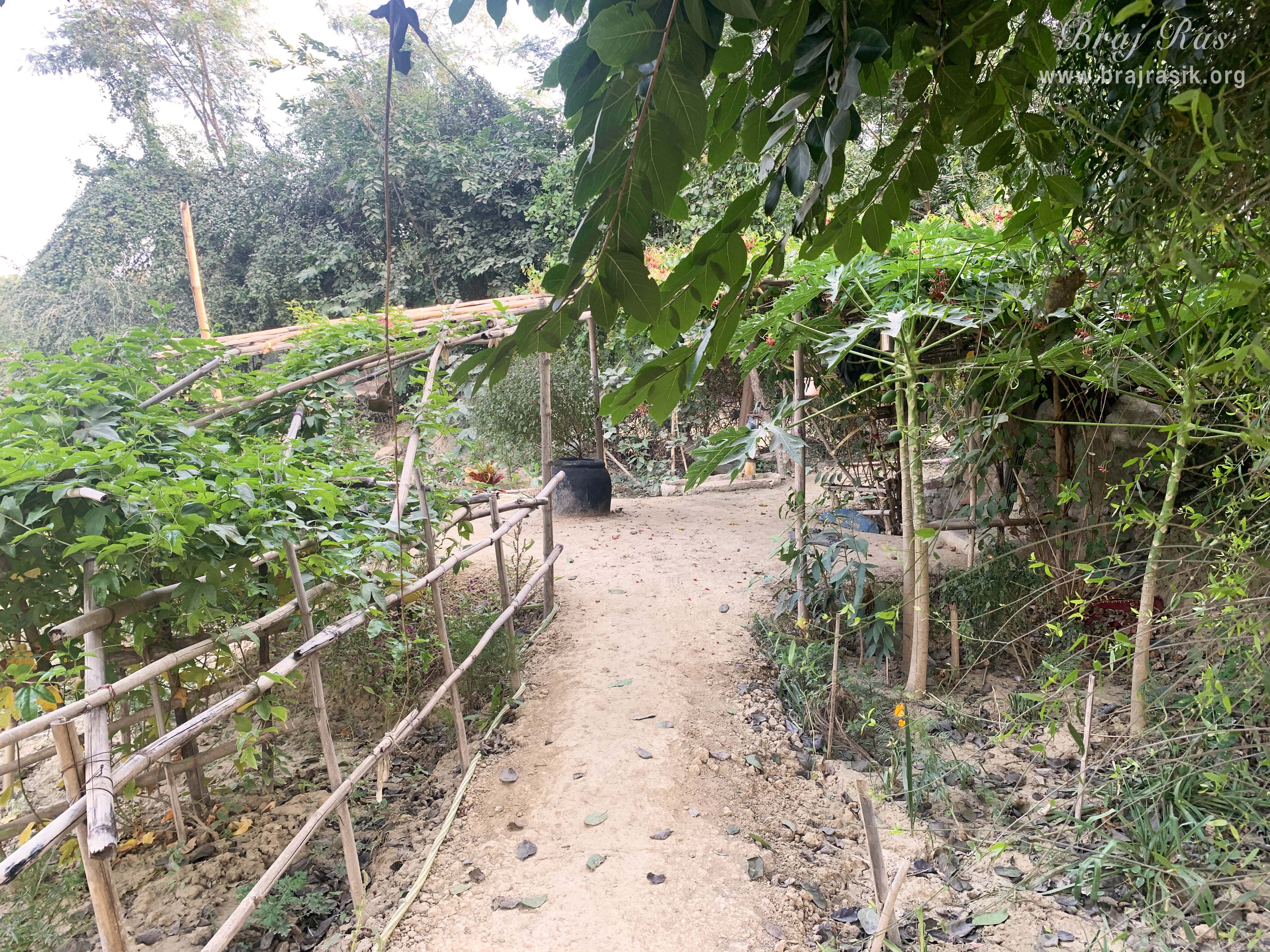 Another view of Phula Kunja, Barsana