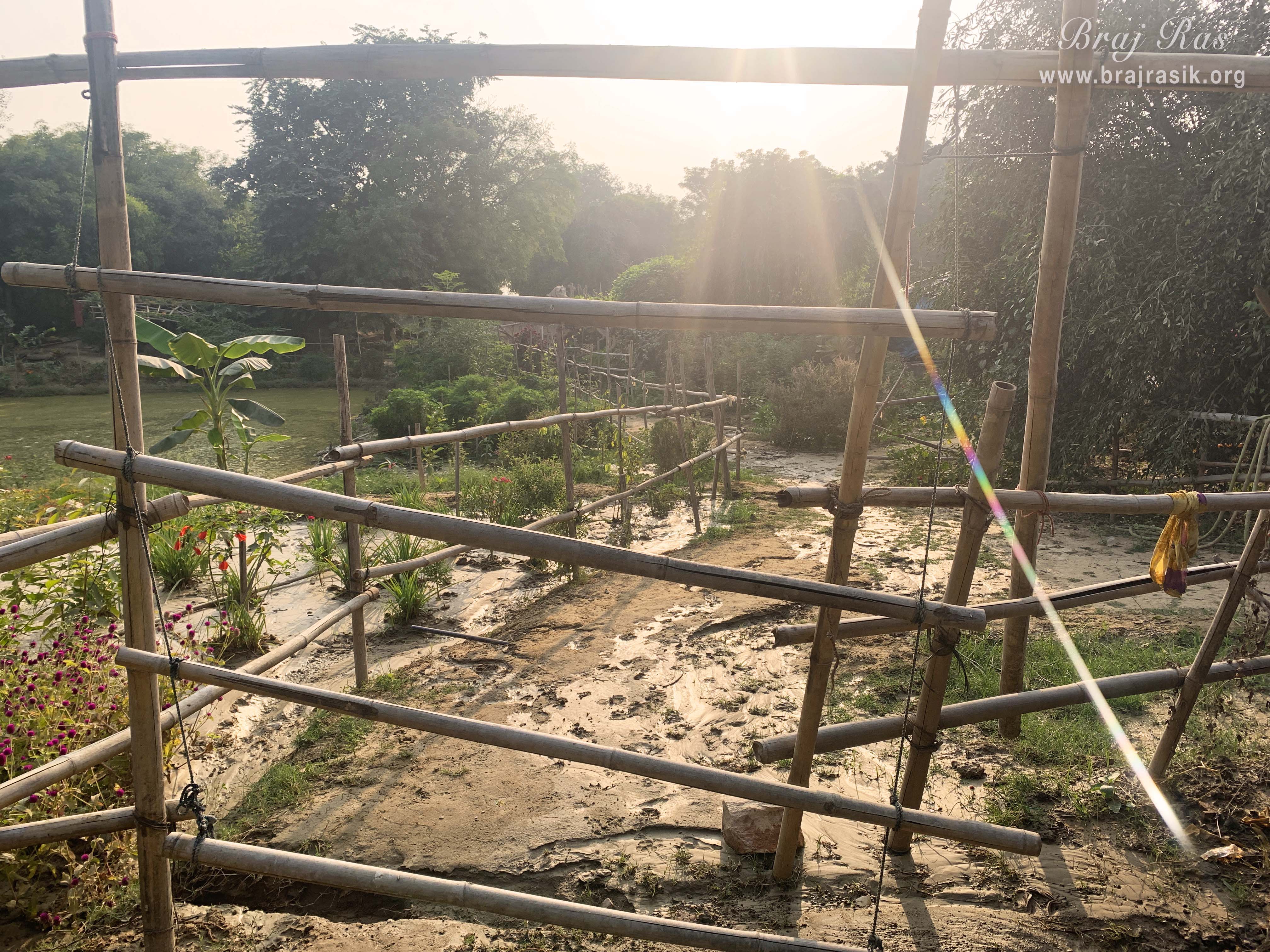 Full view of Phula Kunja, Barsana
