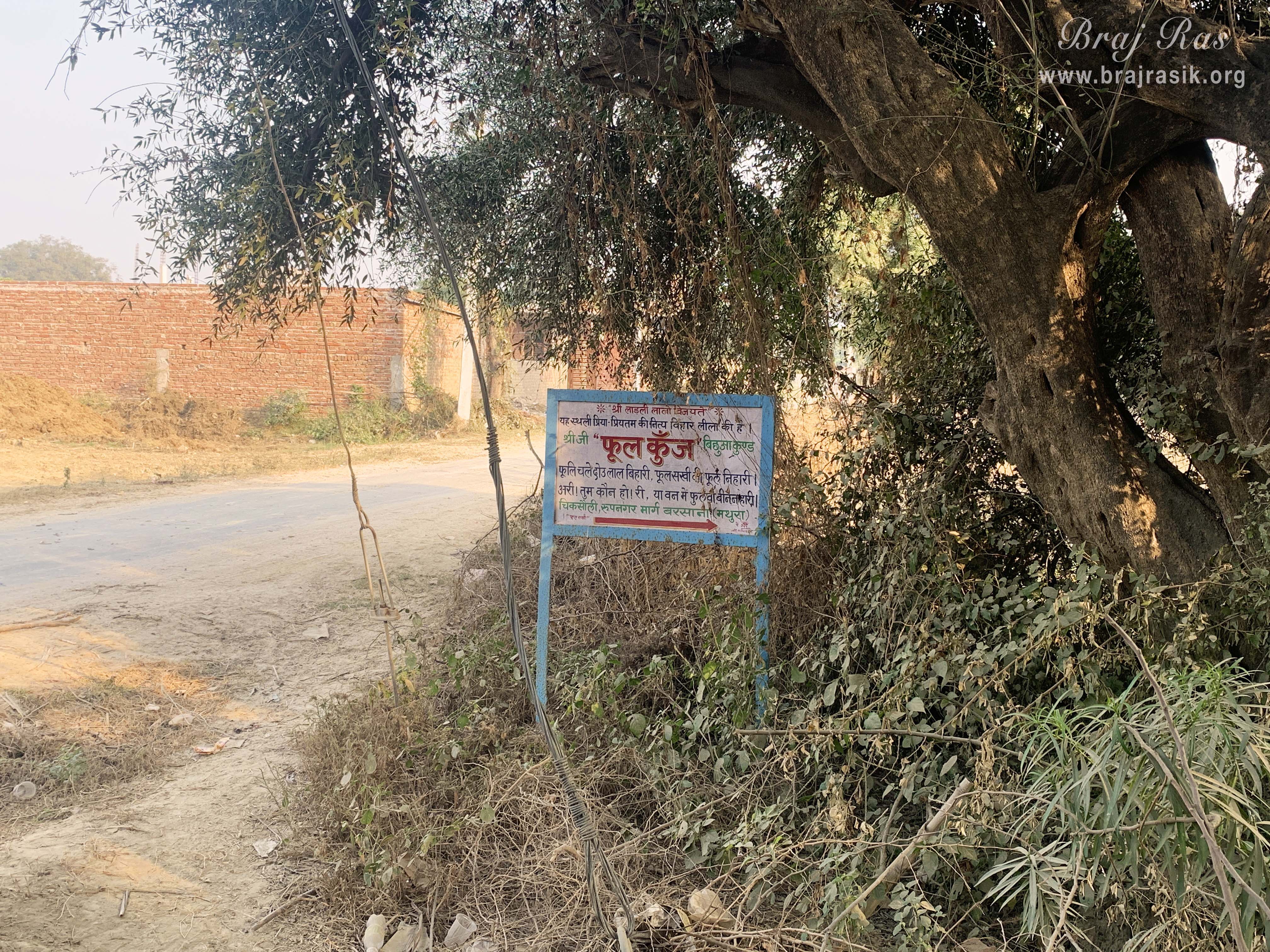 A lane of Barsana where Phool Kunja is located on the Chiksauli Rupnagar road