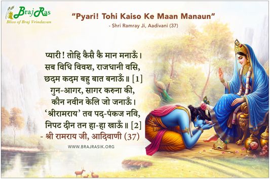 Pyari Tohi Kaise Ke Maan Manaaun - Shri Ramray Ji, Aadivani (37)